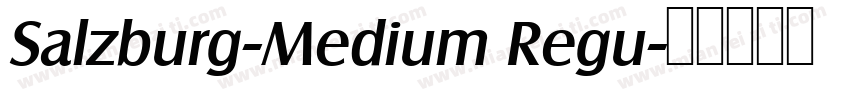 Salzburg-Medium Regu字体转换